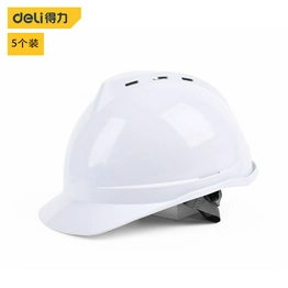 DL525014 DELI