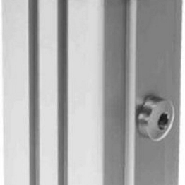 CLR-50-20-L-P-A FESTO