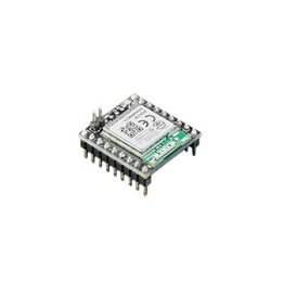 5155 Adafruit