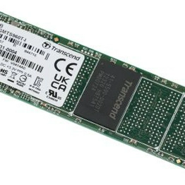 Transcend Information TS256GMTS960T-I image