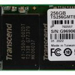 Transcend Information TS256GMTE662T-I image
