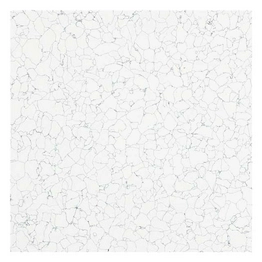 SCS 8412 image