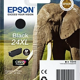 C13T24314010 EPSON