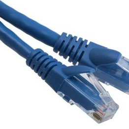RS 556948 image
