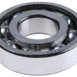 6306 SKF
