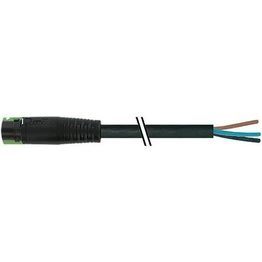 7000-P8101-P010200 MURRELEKTRONIK