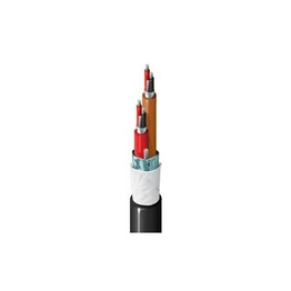 2818RW 0105000 BELDEN