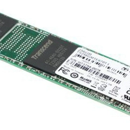 Transcend Information TS256GMTE670T-I image