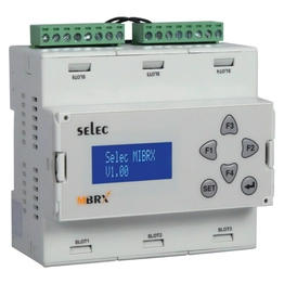 MIBRX-6M-2-1-1-0-1-24VDC Select Controls