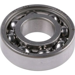 6001 SKF