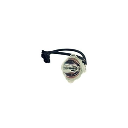 WW-2BJZ-4 International Lighting