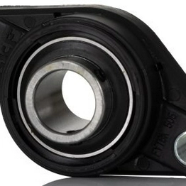 FYTBK 25 TR SKF