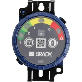 150740 BRADY