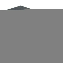 OMRON G2RL-2A DC24 image