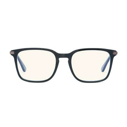 PRBCHIC108 Bolle Safety