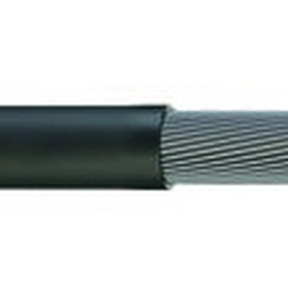 RS 2221597 image