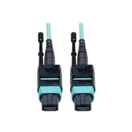 Tripp Lite N844-03M-12-P image