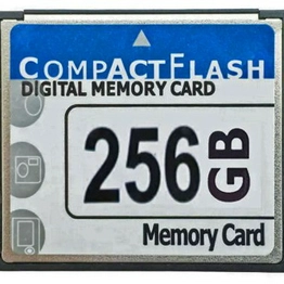 CF-IND-256GB SEEIT