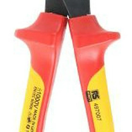 RS 497007 image