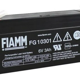 FG10301 FIAMM