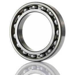 6015 SKF