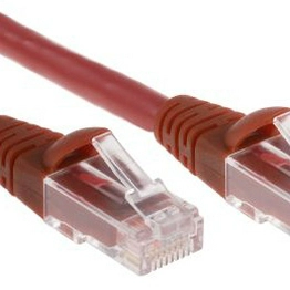 RS 556332 image