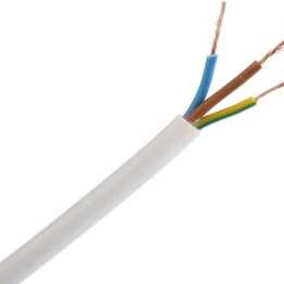 RS 7756110 image