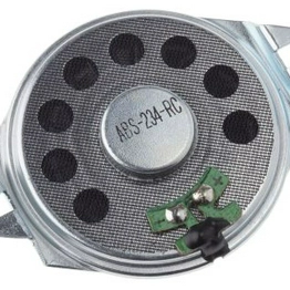 RS 7903987 image