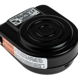 RS 116877 image