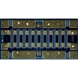 CGH60030D-GP4 MACOM
