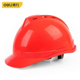 DL525013 DELI