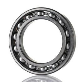 6018 SKF