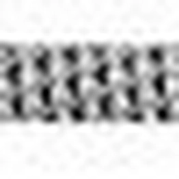 RS 1611509 image