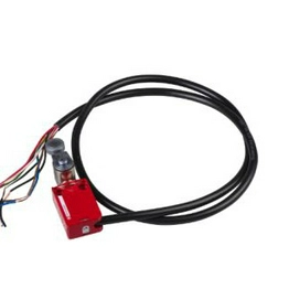 XCSM4116L2 Telemecanique Sensors