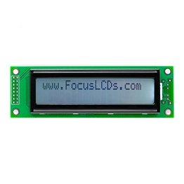 C202B-FTW-LW65 FOCUS LCDs