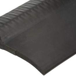 RS 7276074 image