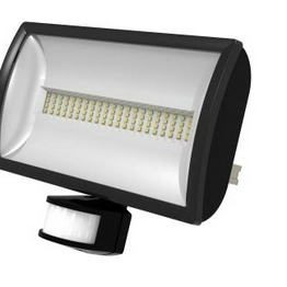 LEDX30PIRBN TIMEGUARD