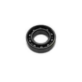 S6204-2RSR-HLC INA