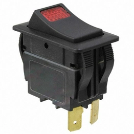 RVW41D1100-116 E-SWITCH