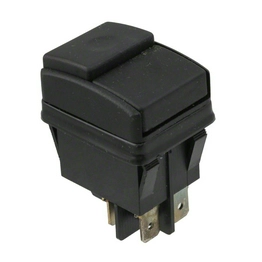PB242D1100 E-SWITCH