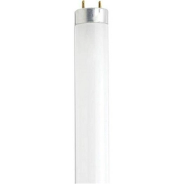 45923279317 International Lighting