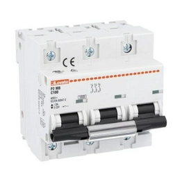 Lovato Electric P2MB3PC100 image