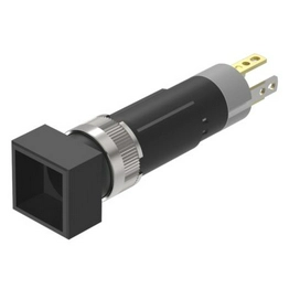 eao 19-481.035 image