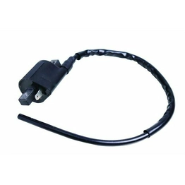 ATC185SATVYEAR1980180CCIGNITIONCOIL International Lighting