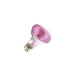 WX-ELVY-2 International Lighting