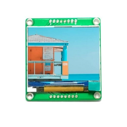 AFL320240A0-2.3N12NTM-ANO Orient Display