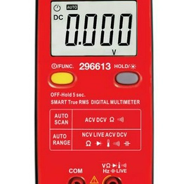296613 RS