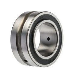 SKF NA 4905.2RS image