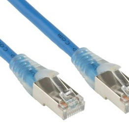 RS 556954 image