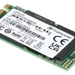 Transcend Information TS256GMTS402M image